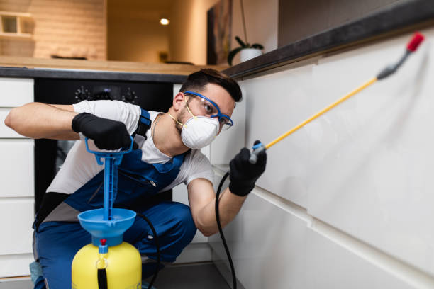 Best Affordable Pest Control Services  in Holts Summit, MO