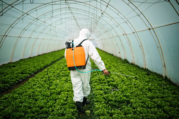Best Pest Inspection Near Me  in Holts Summit, MO