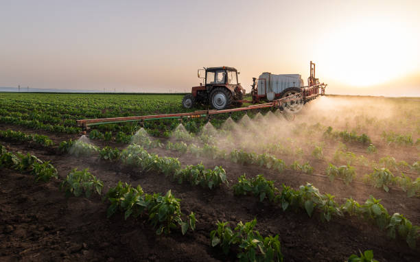 Best Mosquito Control Services  in Holts Summit, MO