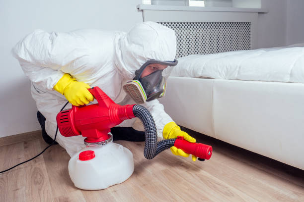 Best Flea Control Services  in Holts Summit, MO
