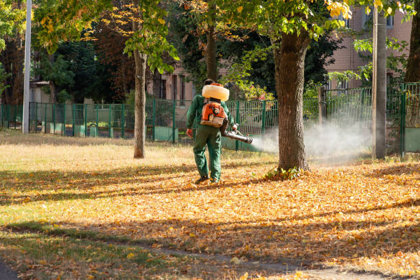 Best Commercial Pest Control Services  in Holts Summit, MO