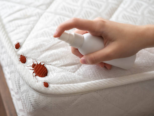 Best Residential Pest Control  in Holts Summit, MO
